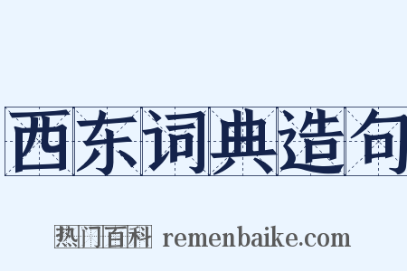 西东词典造句是什么意思的图片
